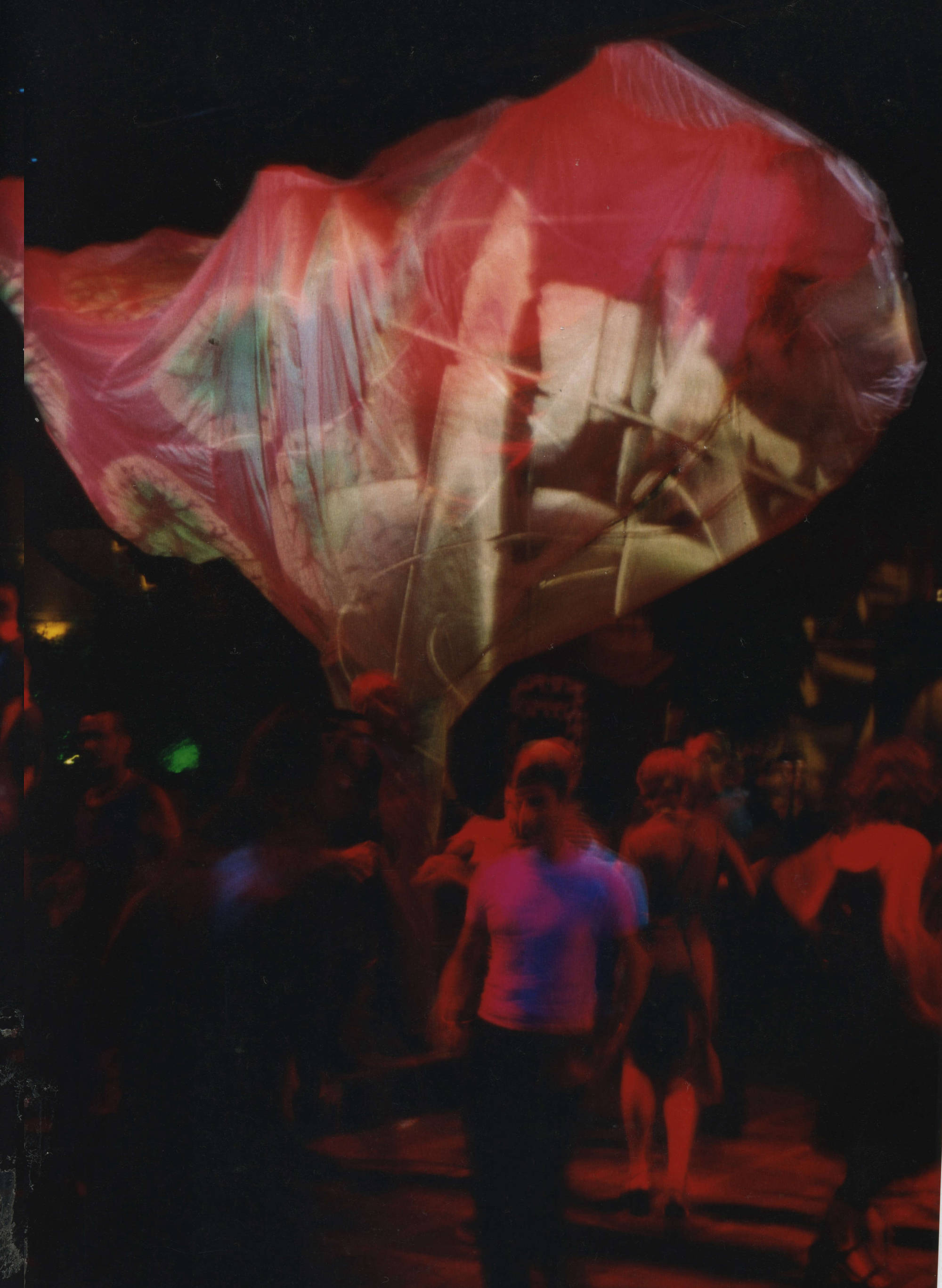 Judocus, visuals, amnesia, ibiza, garden, club, trees, 1998