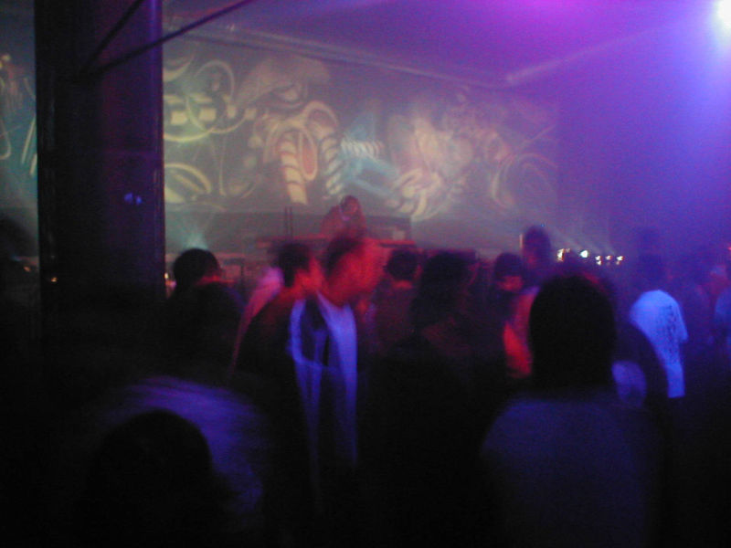 judocus, infected, mushrooms, visuals, concrete, club, concert, vj, 2000, budapest