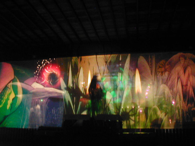 Earthdance, earth, dance, judocus, vj, den, bosch, 2006. live, projections, slides, angelique