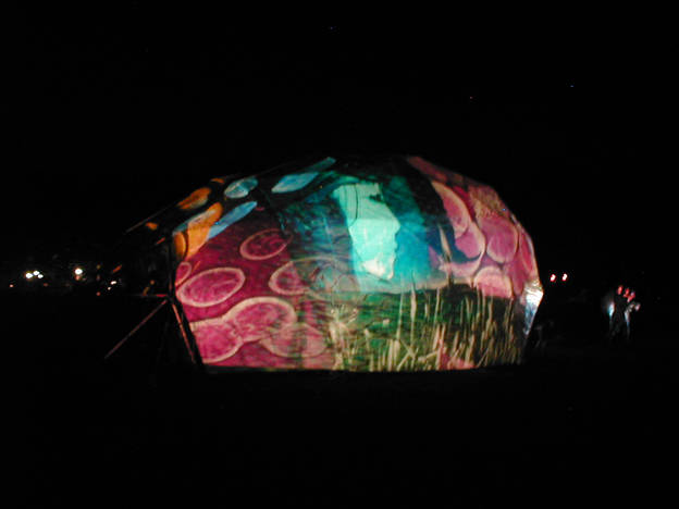 judocus, visuals, earth,dance, earthdance, den, bosch, 2007