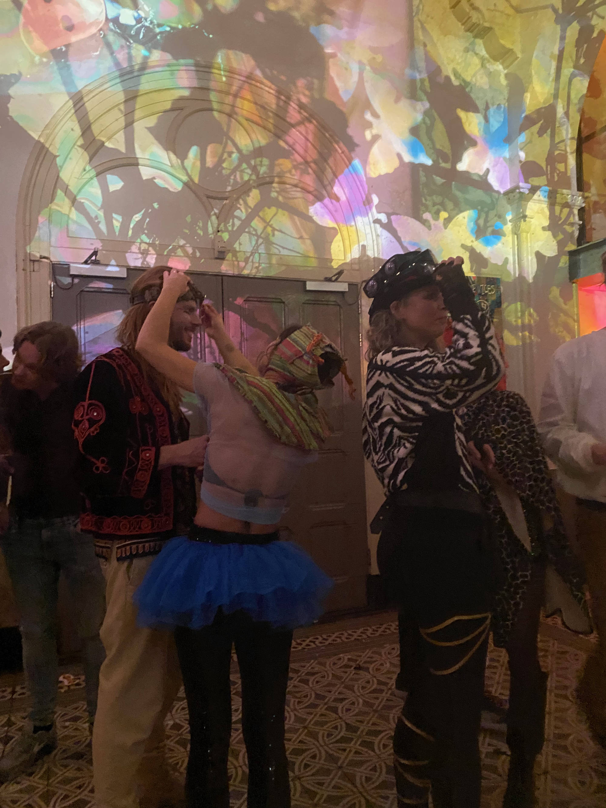 Het Grote Wilde Insectenbal, Paradiso, 2023, Projecties, dia , Judocus, visuals