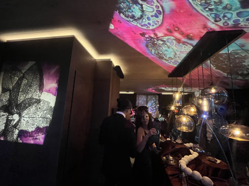 judocus, vj, liquicity, festival, 2023, visuals, Geestmerambacht, 