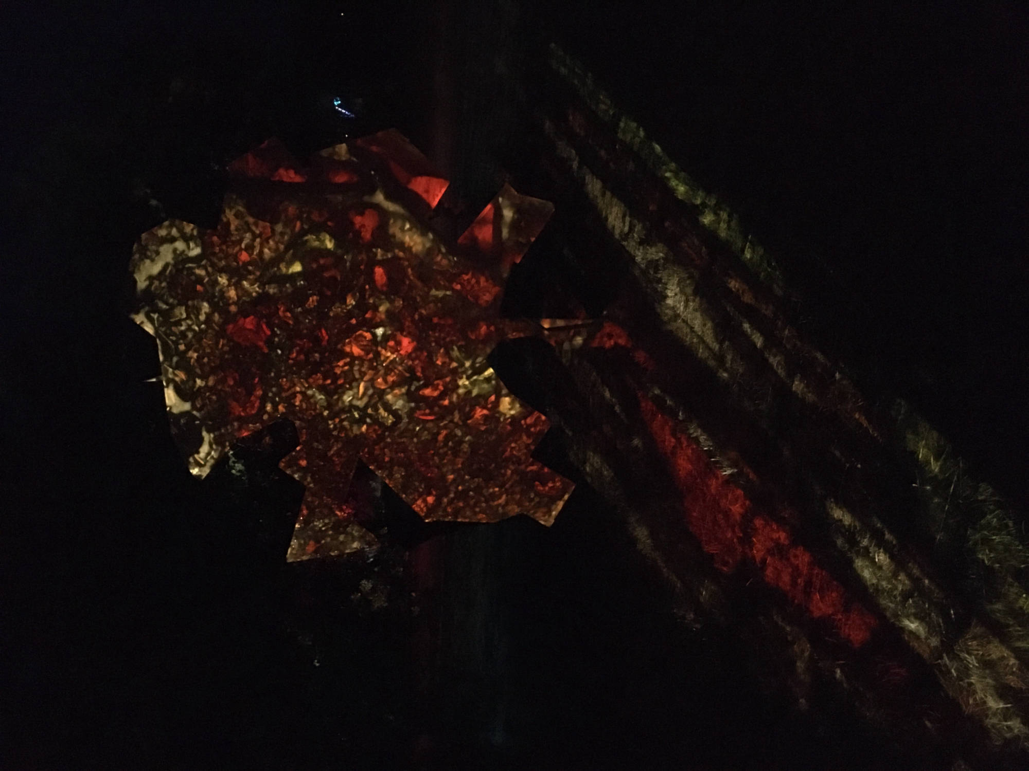 Boomfestival, 2022, projections, vj, TheGardens, Judocus, Portugal, Boom2022, visuals, visual, installations, slideprojections