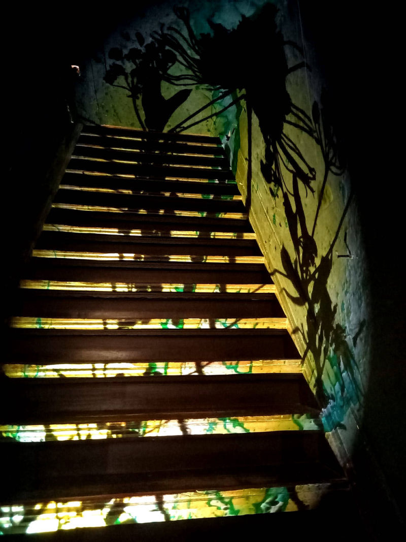 Embassy free mind, museumnacht, amsterdam, judocus, visuals, projecties, 2023