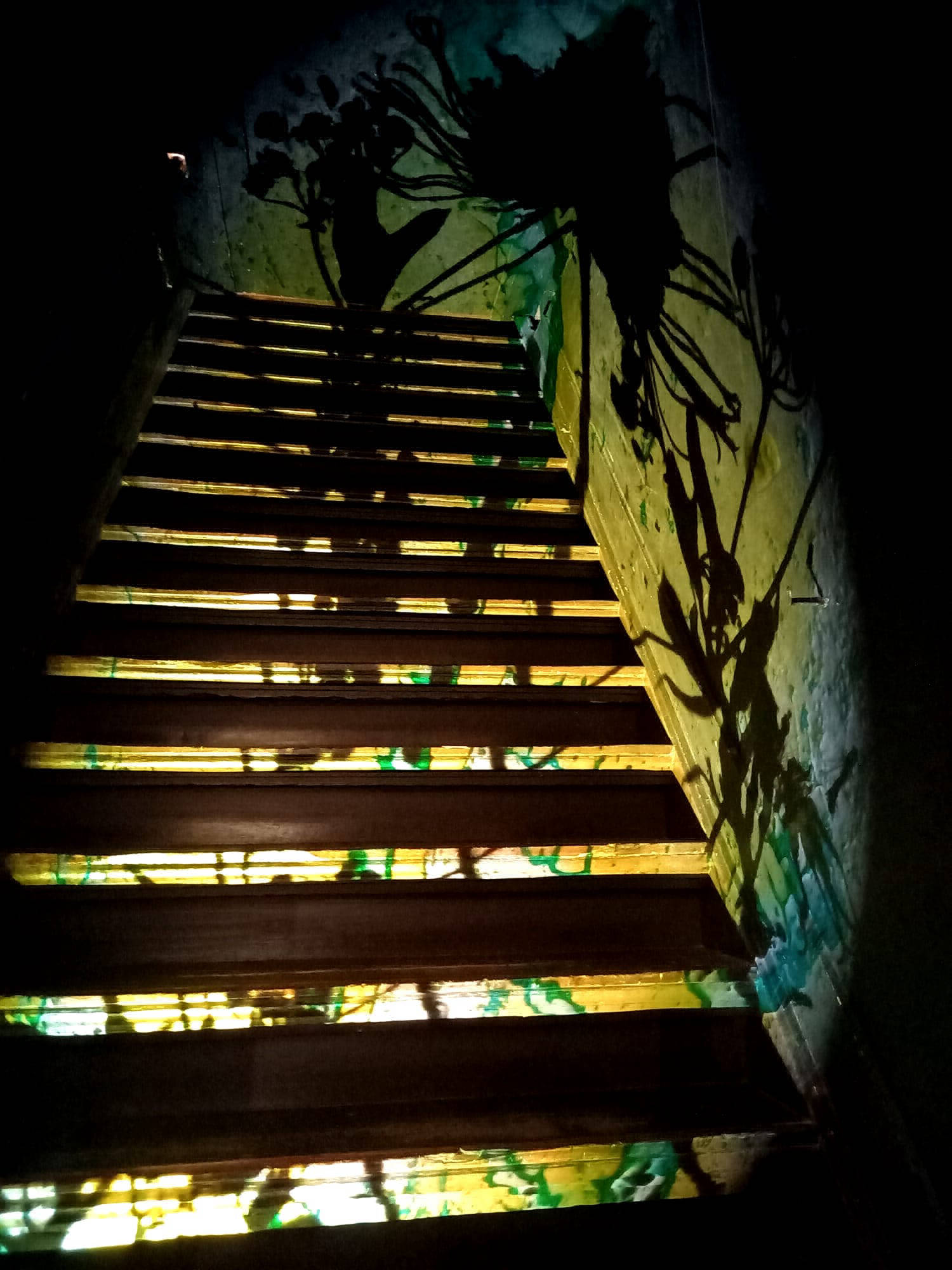 Embassy free mind, museumnacht, amsterdam, judocus, visuals, projecties, 2023